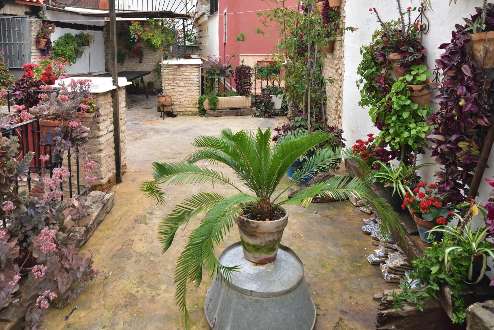 Casa Tenorio Barrio De Santa Cruz Sevilla Eksteriør bilde